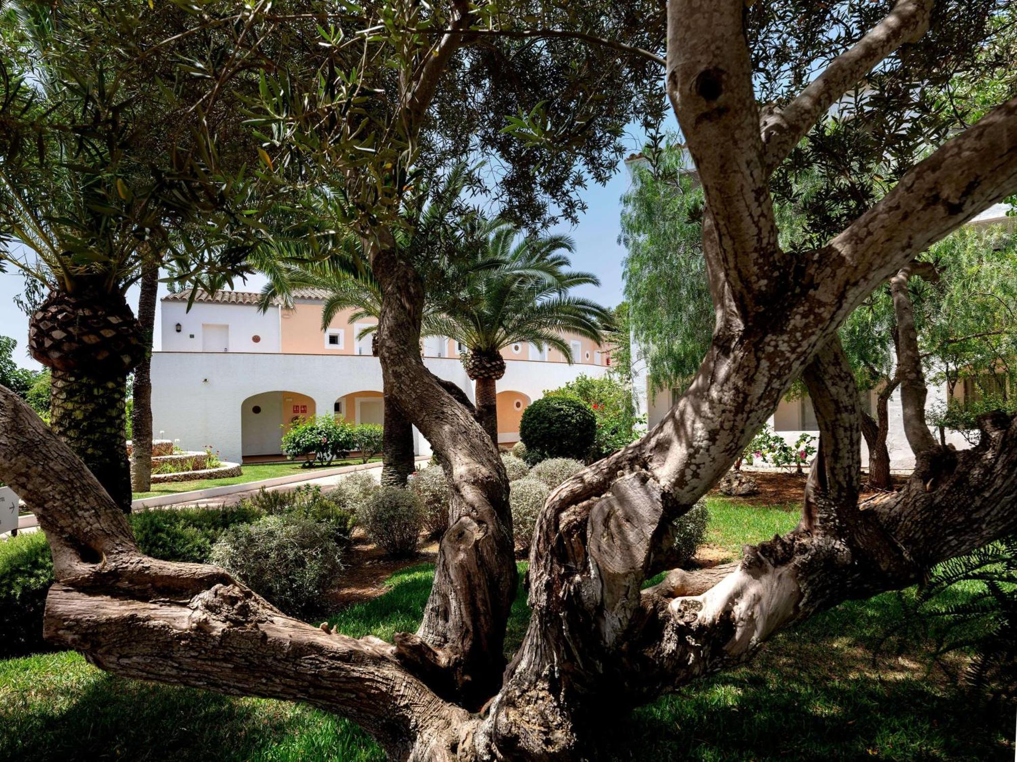 Sol Falco Menorca Son Xoriguer Eksteriør bilde